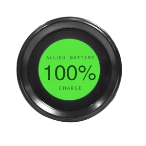 Battery Comm Port State of Charger Meter - GYR Allied Lithium Golf Cart and Boat Batteries